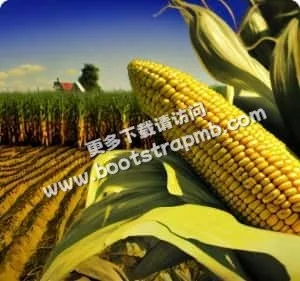 以专业视角，解读体育世界 - 开云首页
